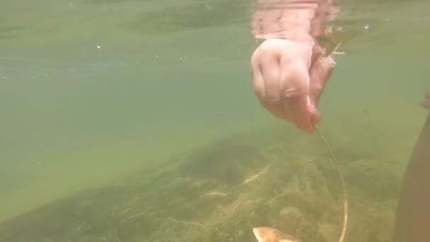 Main jouant avec la feuille sous l'eau — Video