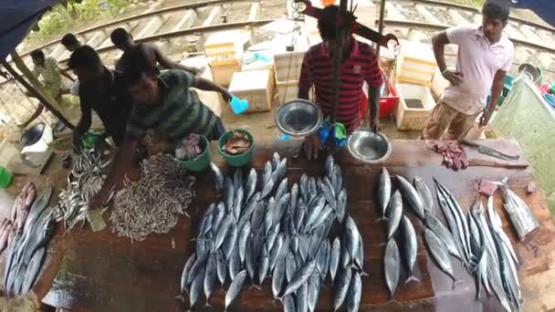 Lokale bevolking hun verse vis verkoop — Stockvideo