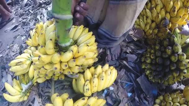 Man preparing bananas for the sale — Stock Video