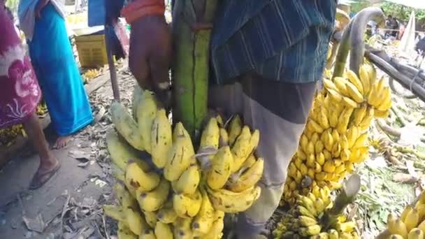 Man moving hanging juicy bananas — Stock Video