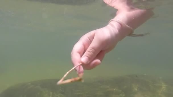 Main jouant avec la feuille sous l'eau — Video