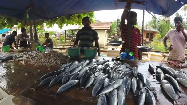 그들의 신선한 생선을 판매 하는 지역 주민 — 비디오
