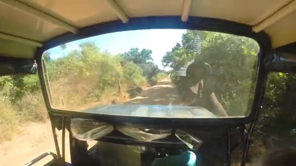 Vista desde el traslado de Jeep durante el safari en el Parque Nacional de Yala . — Vídeo de stock