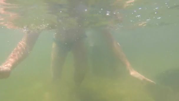 L'homme plonge sous l'eau — Video