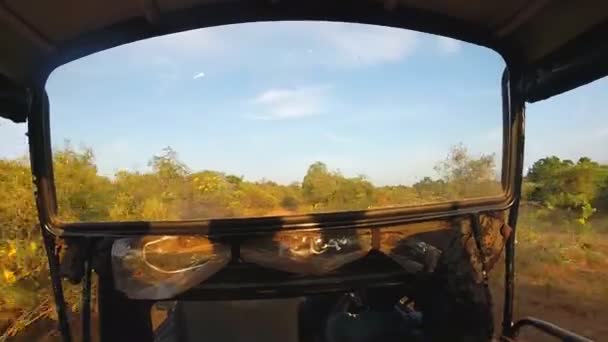 Pohled od stěhování Jeep během safari v národním parku Jala. — Stock video