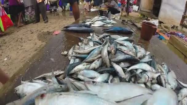 Färsk fisk på bordet på marknaden — Stockvideo