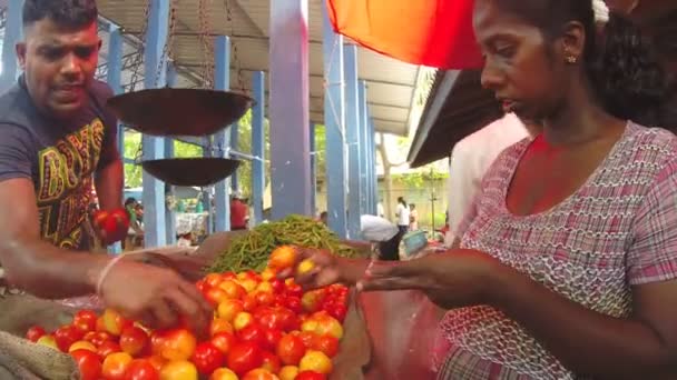 Frau kauft frisches Obst auf dem sri-lankischen Markt beim örtlichen Verkäufer. — Stockvideo