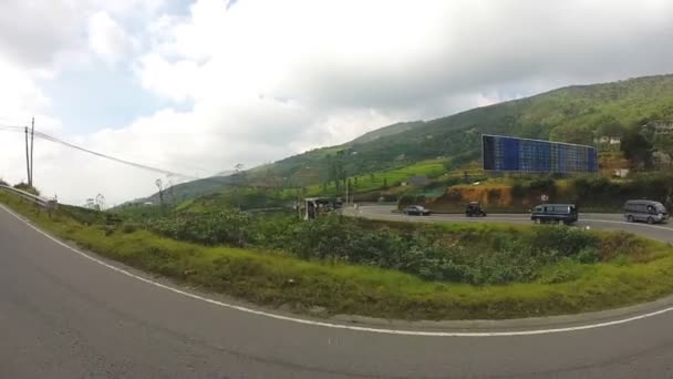 Vista desde el vehículo en movimiento de plantaciones de té en las estribaciones — Vídeos de Stock