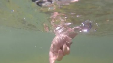 Yaprak ile oynarken el