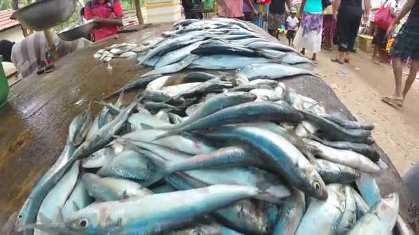 Frischer Fisch auf dem Markt — Stockvideo