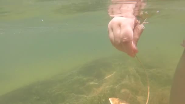 Hand spelen met het blad onder water — Stockvideo