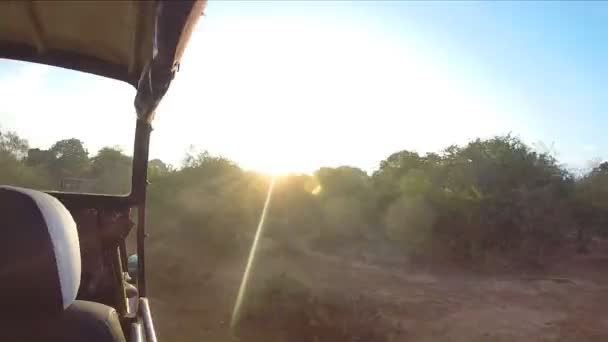 Uitzicht vanaf de Jeep bewegen tijdens safari in Yala National Park. — Stockvideo