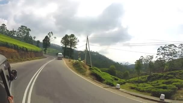 Paisaje tropical del vehículo en movimiento — Vídeo de stock