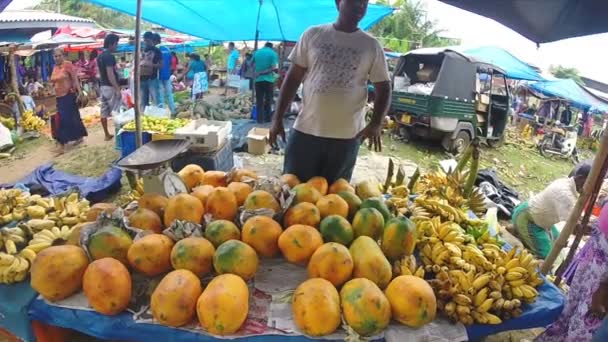 Vânzător care vinde papaya proaspătă — Videoclip de stoc
