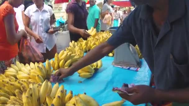 Tienda local de frutas con trabajador — Vídeos de Stock