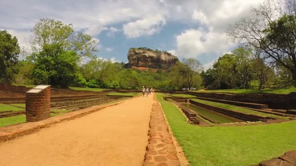 Persone che camminano nel parco — Video Stock