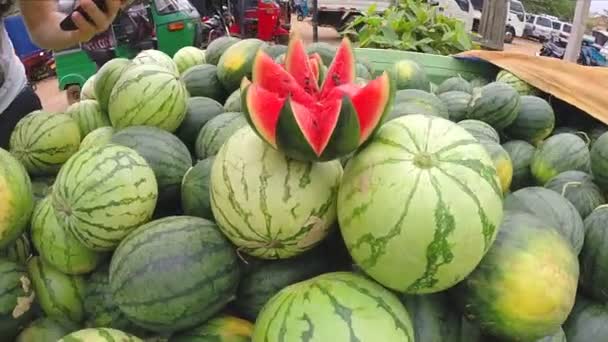 Bunch of juicy watermelons — Stock Video