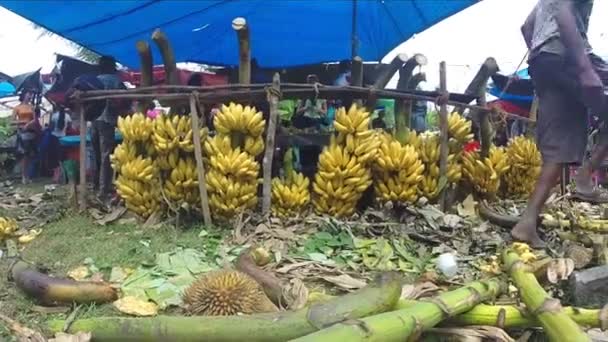 Вид на висячі соковиті банани — стокове відео