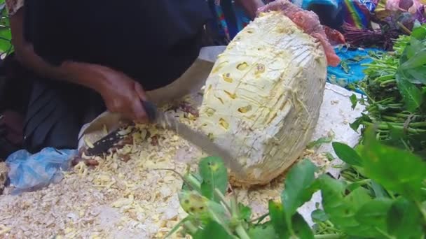 Γυναίκα κοπής durian φρούτα με μεγάλο μαχαίρι στην αγορά της Κυριακής — Αρχείο Βίντεο