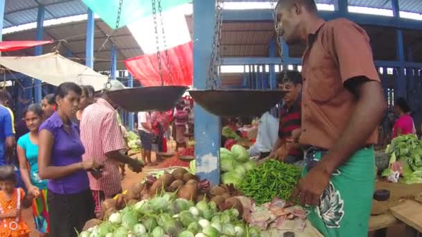 Frau kauft frisches Gemüse auf dem sri-lankischen Markt beim örtlichen Verkäufer. — Stockvideo