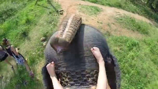 Pequeñas piernas frágiles de una niña caucásica en una cabeza de elefante grande . — Vídeos de Stock