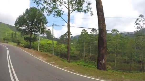 Тропический пейзаж от движущегося автомобиля — стоковое видео