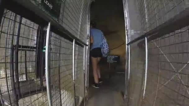 Metalltreppe hinauf zum Sigiriya-Gipfel mit Blick auf Wandmalereien. — Stockvideo