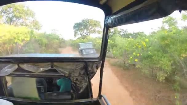 Blick aus fahrendem Jeep während einer Safari im Yala-Nationalpark. — Stockvideo