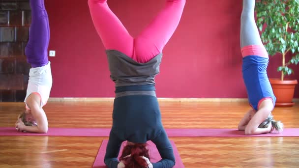 Mujeres haciendo yoga en alfombras de goma — Vídeos de Stock