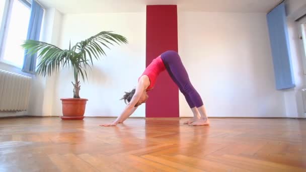 Women doing yoga on rubber mats — Stock Video