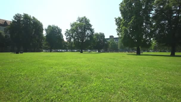 Couple enjoying cycling through park — Stock Video