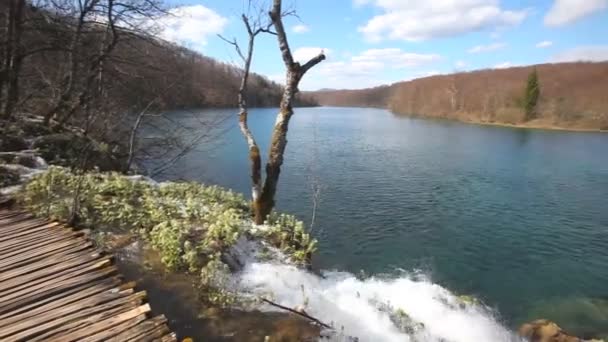 Водоспади в національному парку Плітвіцкі — стокове відео