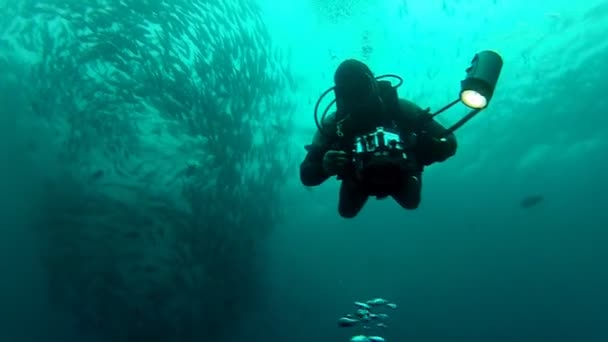 Taucher schwimmt mit Kamera — Stockvideo