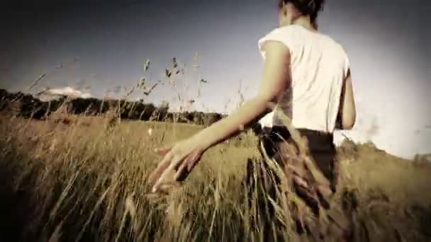 Жінка йде торкаючись довгої трави — стокове відео