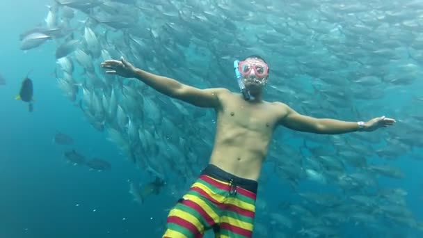 Persona che nuota tra i pesci jack — Video Stock