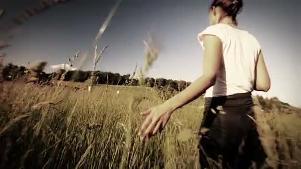 Жінка йде торкаючись довгої трави — стокове відео