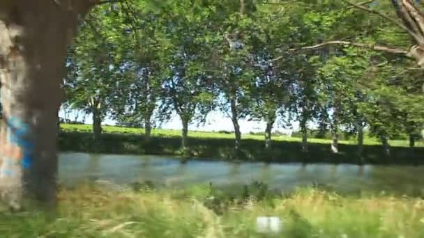 Faire du vélo devant les arbres sur le canal — Video