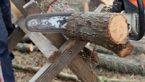 Tronçonneuse coupant du bois de chauffage pour la période hivernale — Video