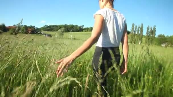 Woman walking touching long grass — Stock Video