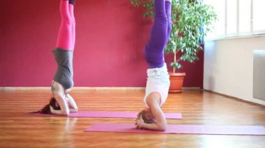 Kauçuk paspaslar üzerinde yoga yaparken kadınlar