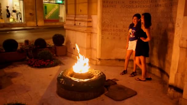 Toeristen een bezoek aan de eeuwige vlam — Stockvideo