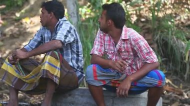 Kandy diş Tapınağı yakınında oturan iki fil onundur.