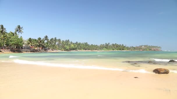 Belle plage de sable fin au Sri Lanka 