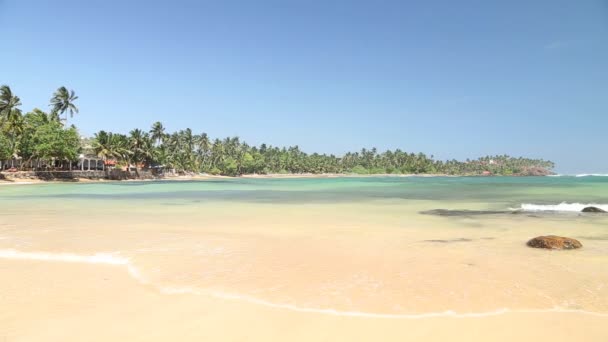 Bela praia de areia no Sri Lanka — Vídeo de Stock