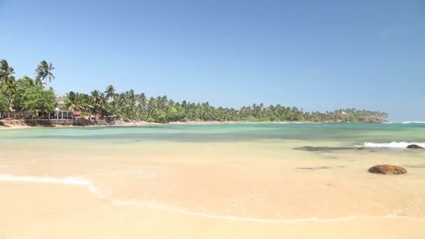 Belle plage de sable fin au Sri Lanka 
