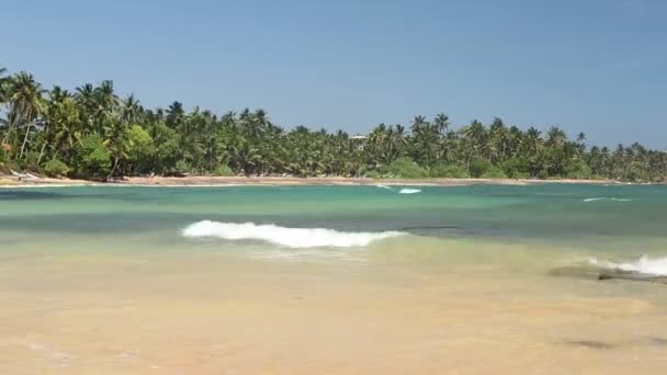 Baía de mar bonita no Sri Lanka — Vídeo de Stock