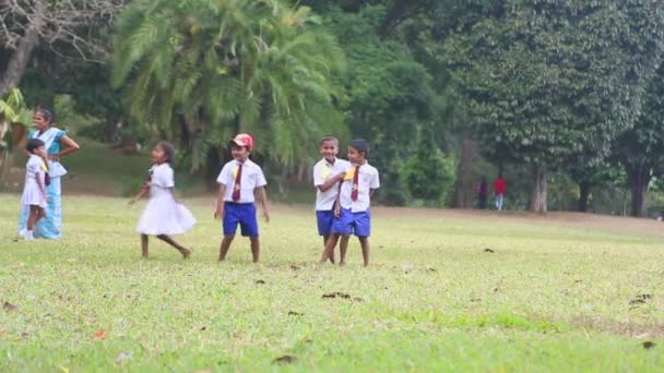 Дети в школьной форме играют в ботанических садах — стоковое видео