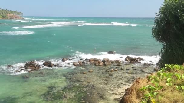 Bahía tropical con agua clara — Vídeos de Stock