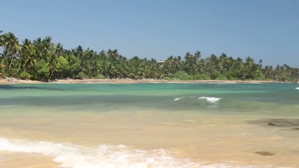 Belle baie de mer au Sri Lanka 