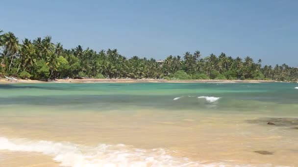 Baía de mar bonita no Sri Lanka — Vídeo de Stock